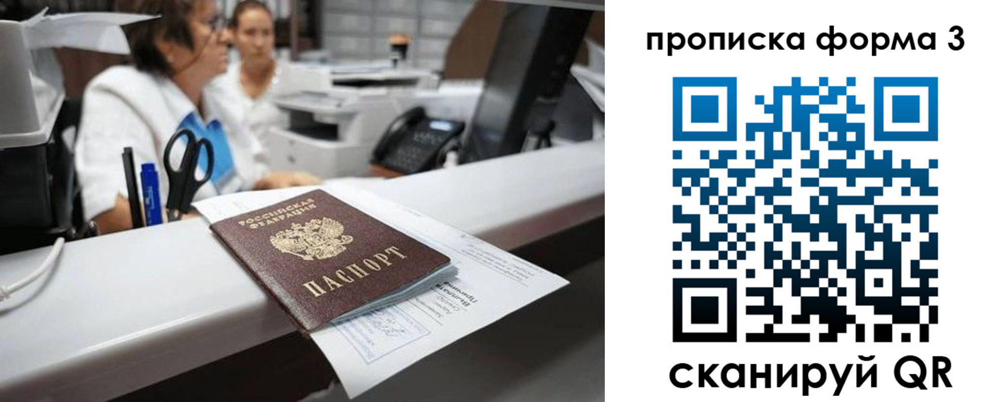 прописка паспорт в Стародубе